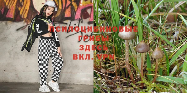 первитин Абдулино