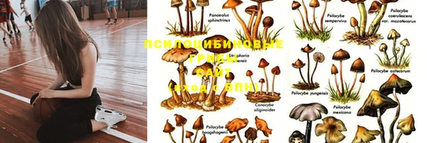марихуана Алзамай