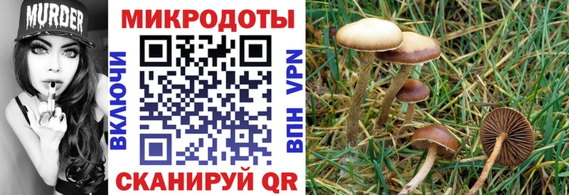 Псилоцибиновые грибы мухоморы  KRAKEN вход  Фурманов 